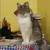 Отзыв от Василиса Борисова
